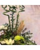 Bamboo and White Rose